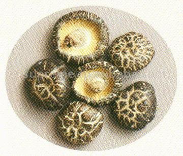 Dried Flower Mushrooms