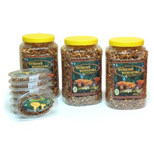Dried Mushrooms