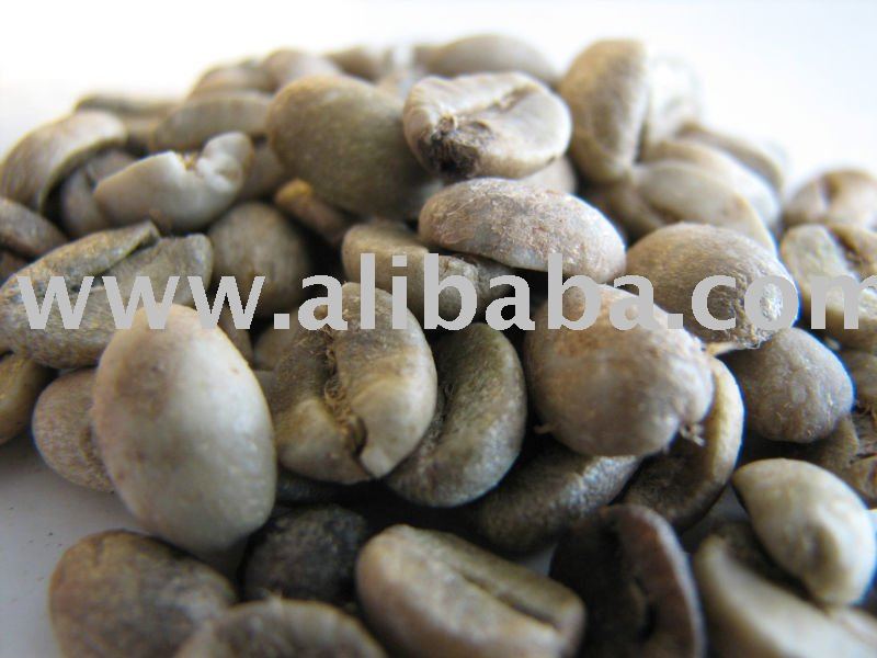 Luwak Coffee