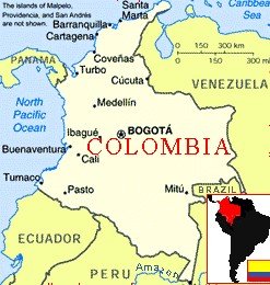 French Colombian Varietal Coffee