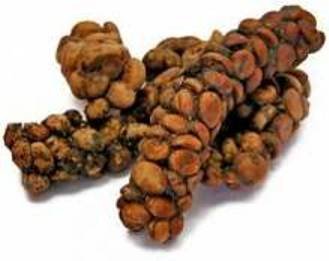 Raw Luwak Coffee