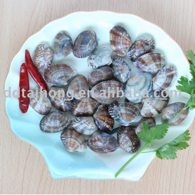 Frozen cooked short necked clam meat seafood product