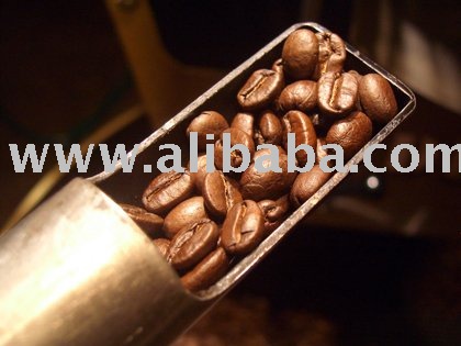 Selling Robusta Coffee beans from Vietnam