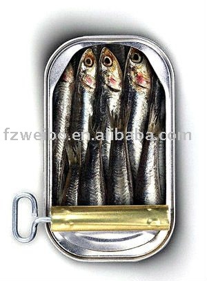  Fresh   can ned whole  sardine s in tomato sauce