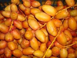 Fresh yellow dates