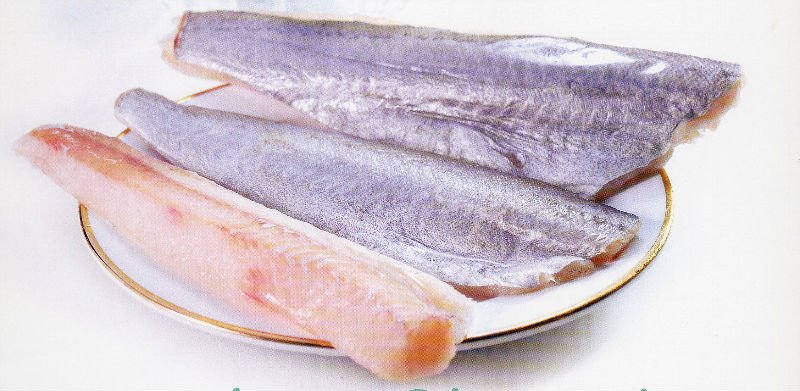 Southern  Blue   Whiting   Fish 