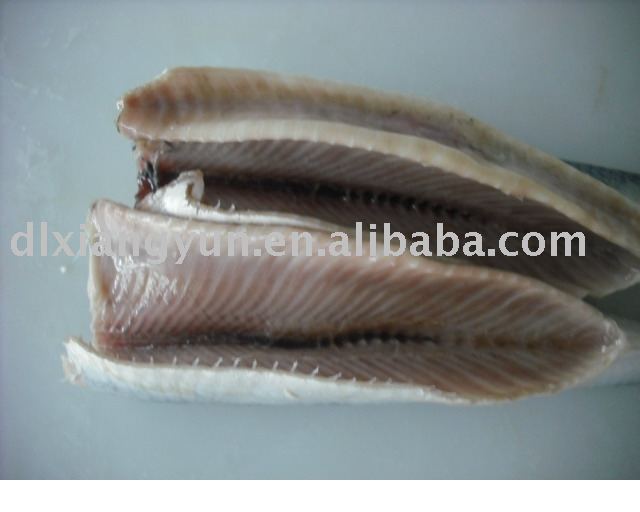 Frozen Herring Fish H G