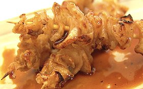 Yakitori Chicken Skin