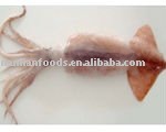 Baby Squid