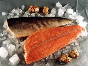 salmon fillets (skin on)