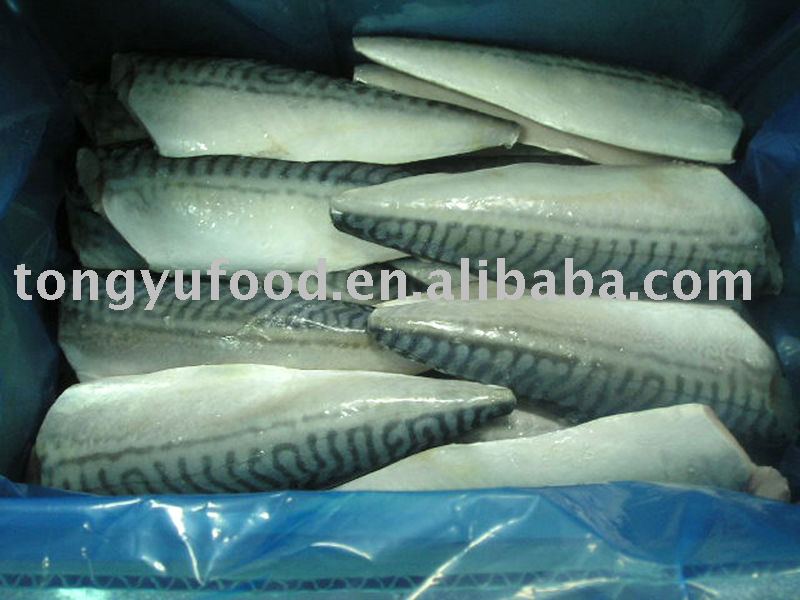 HGT frozen mackerel