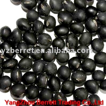 Black Kidney beans (8-10.5mm)
