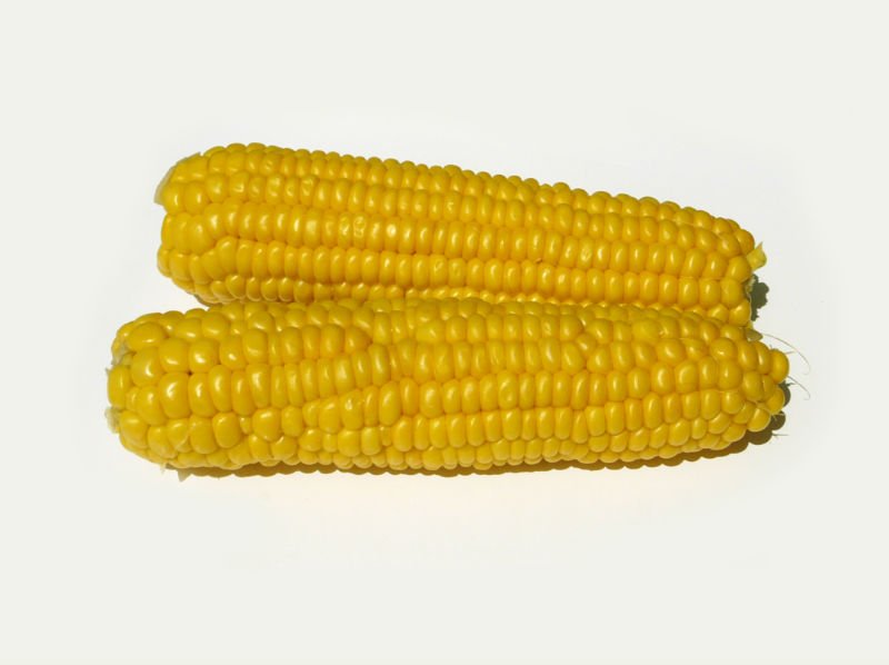 yellow maize suppliers