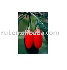 Wolfberry / Medlar Juice Concentrate
