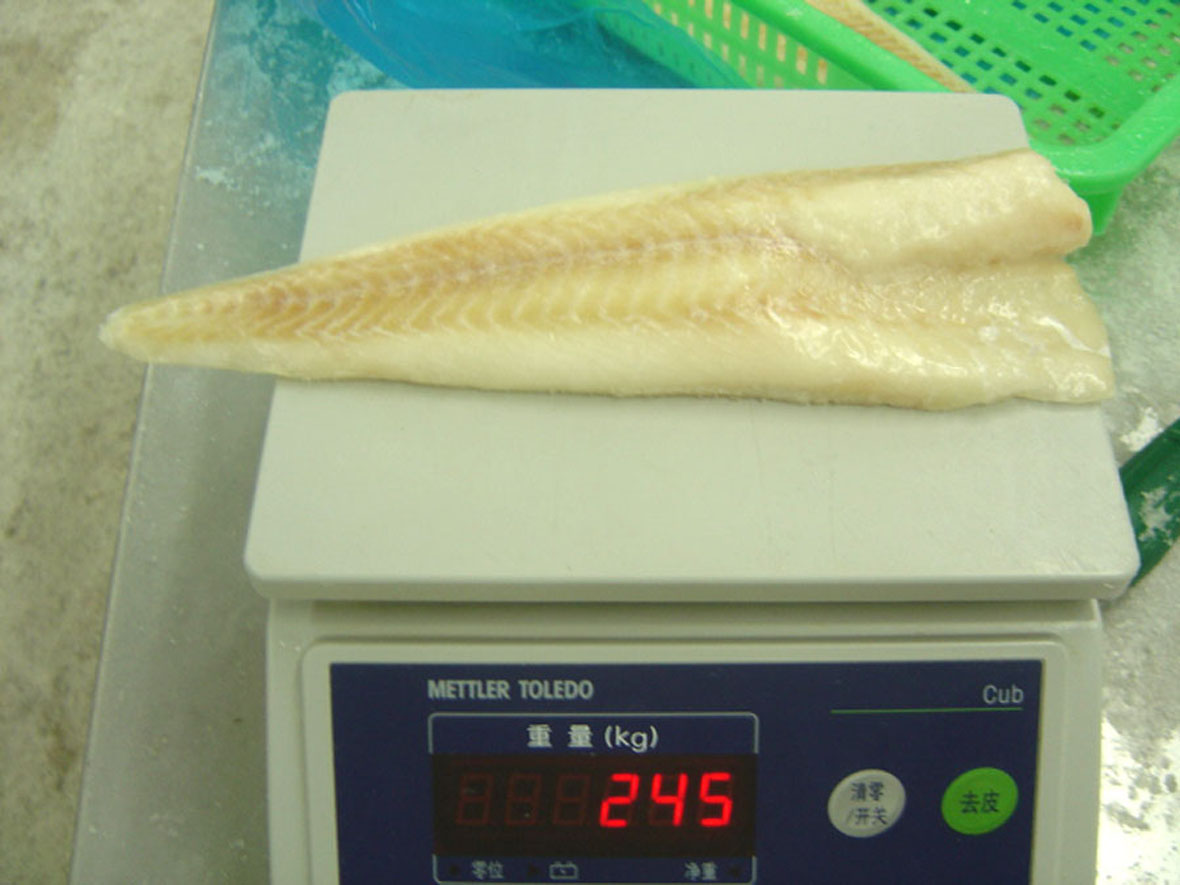 Alaska Pollock Fillet(Theragra chalcogramma)