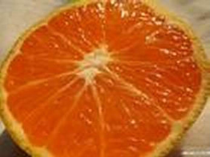 Orange Essence