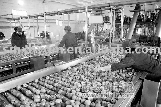 steel drum packing apple juice