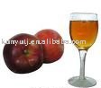 APPLE JUICE CONCENTRATE