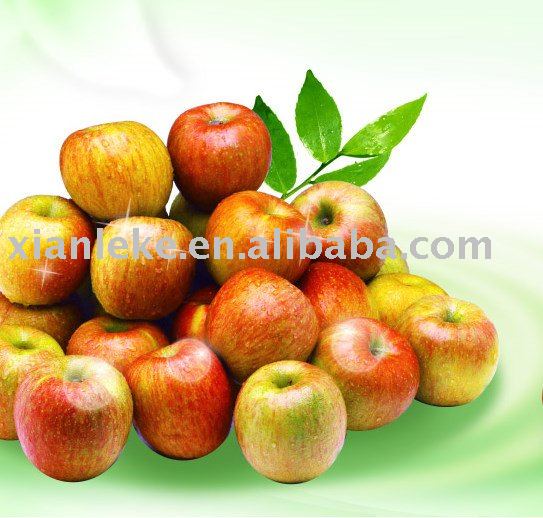 Apple  Juice  Concentrate ISO2000, HACCP    KOSHER 