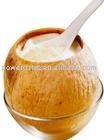 Coconut  Fruit Powder