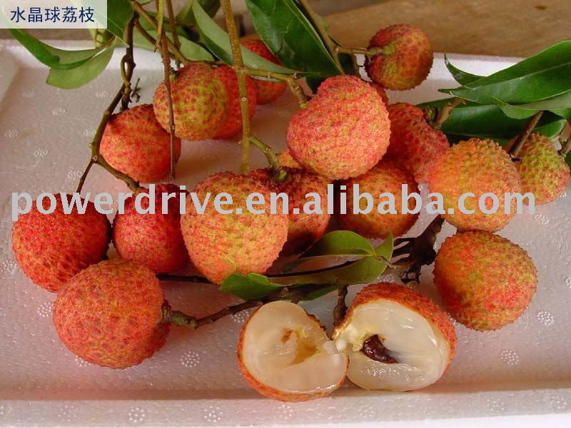 Lychee Fruit Powder
