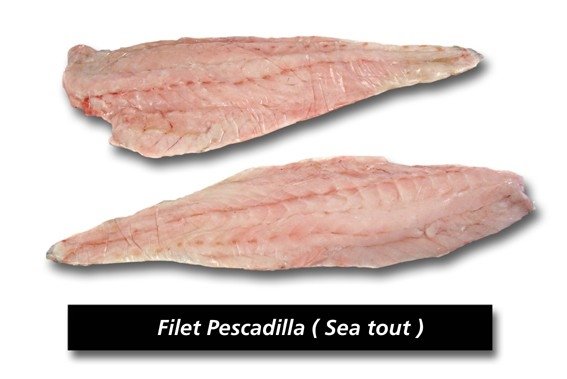 Seatrout (cynoscion striatus)
