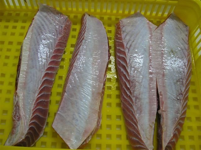 Tuna Belly products,Iran Tuna Belly supplier