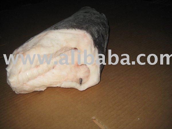 Toothfish Pieces (Dissostichus Eleginoides)