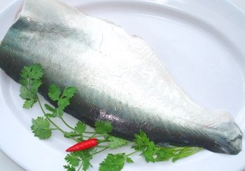  Pangasius   fish   fillet 