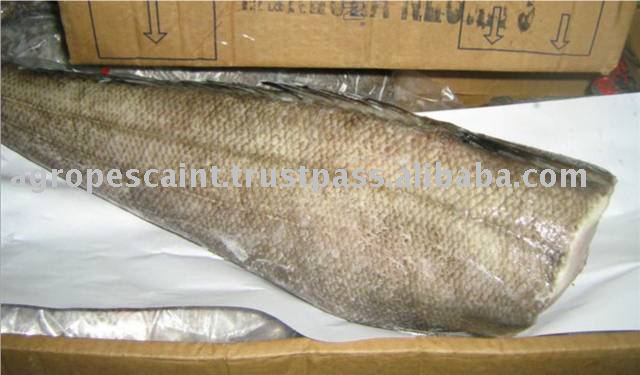 Sea Bass Merluza Negra Products Venezuela Sea Bass Merluza Negra Supplier