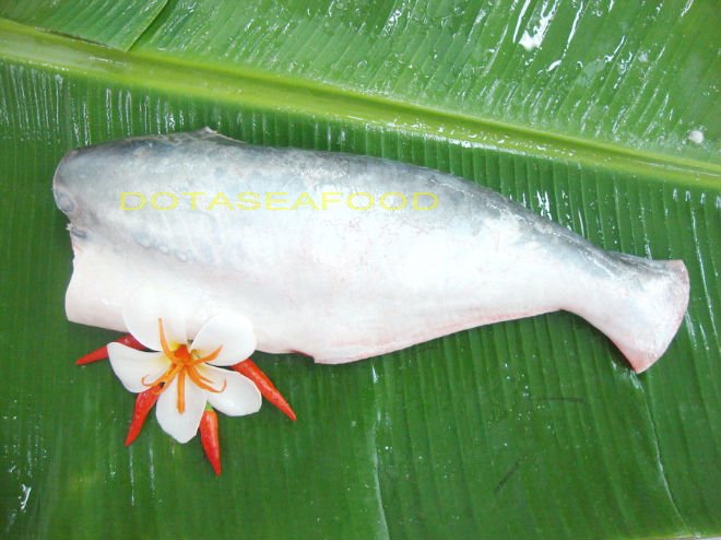 PANGASIUS WHOLE