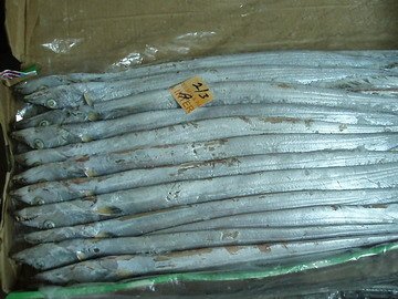 Frozen Ribbon Fish
