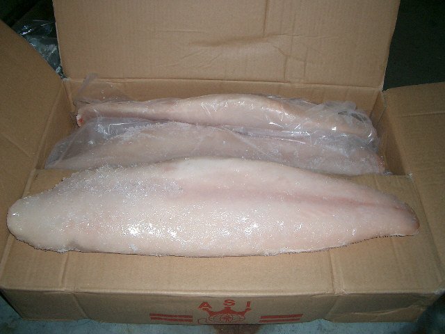 Pangush Fillet