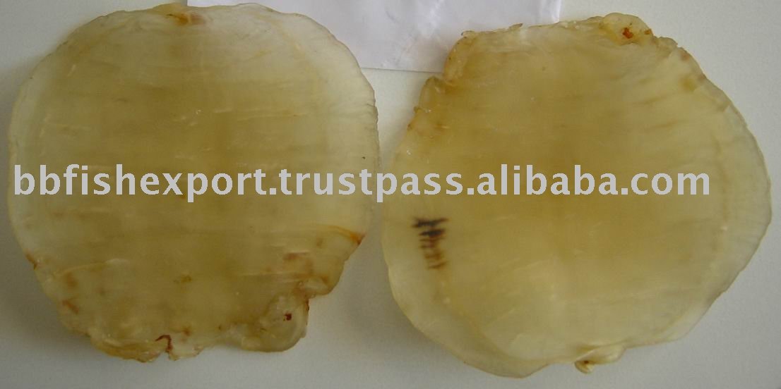 Dry   Fish   Maw s,