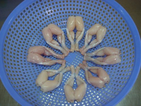 Frozen Frog leg,Vietnam Customers' brand name price supplier - 21food