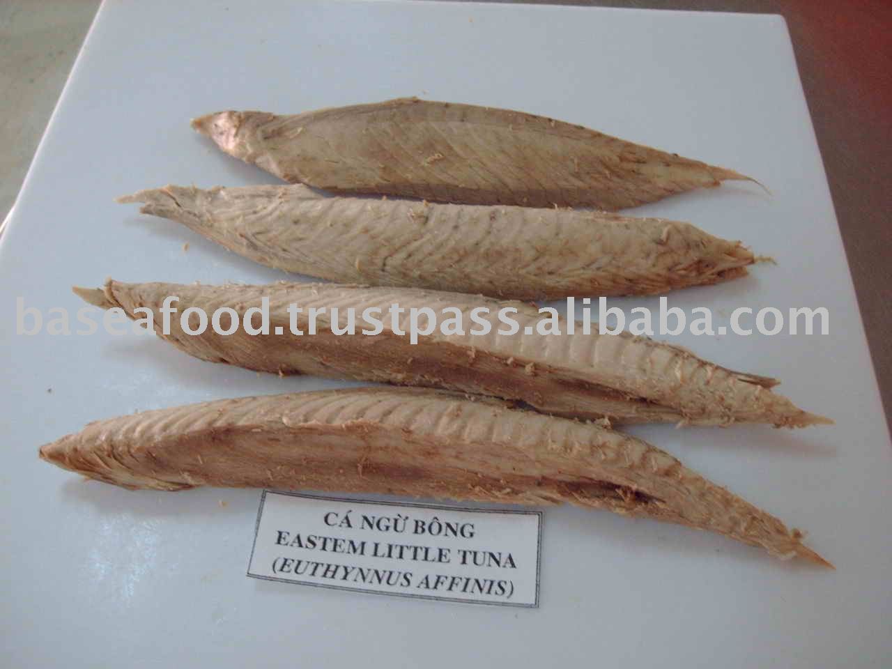 Eastem little tuna loin