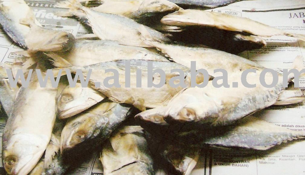 Dried Salted Fish - Chubb Mackerel