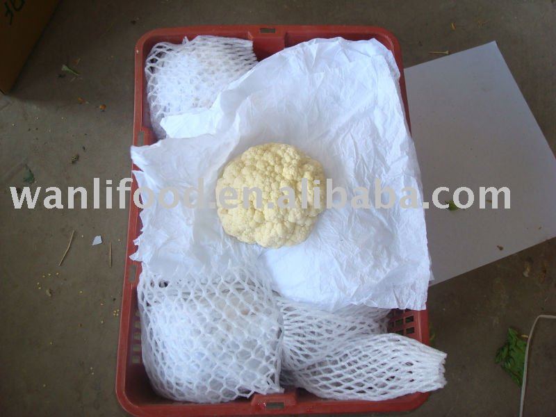 fresh white cauliflower