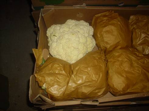 fresh cauliflower(ELZAHRAA Co.)