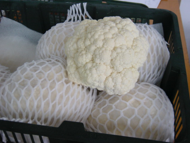 fresh cauliflower
