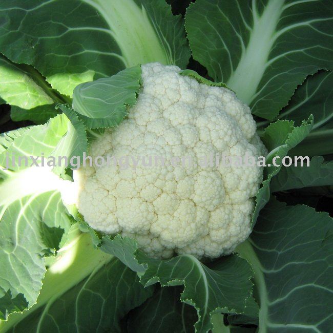 Cauliflower