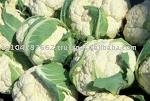 cauliflower from fruits brothers