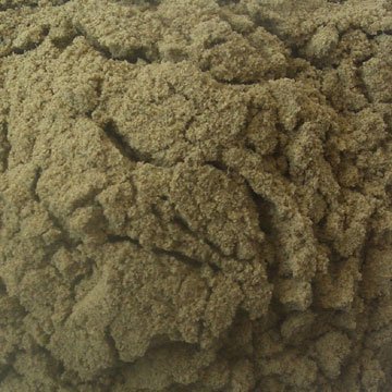 Fish Meal