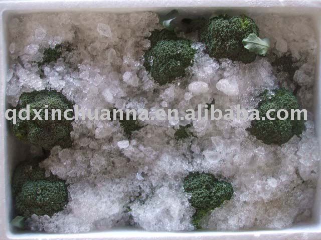 fresh broccoli