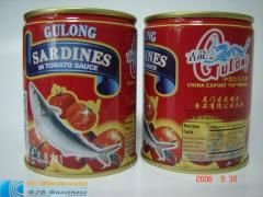 Canned Sardine in Tomato Sauce