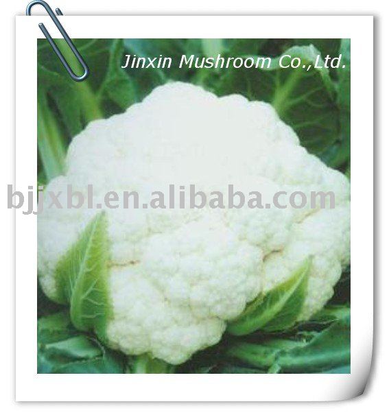 Cauliflower