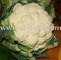  Fresh   Cauliflower 