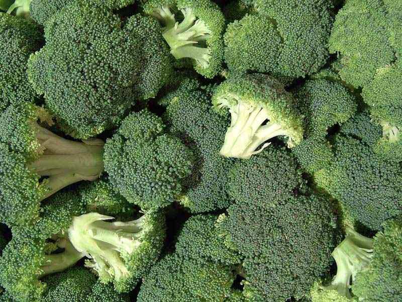 Fresh BROCCOLI