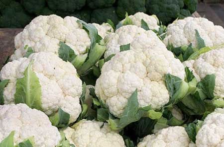 Fresh Cauliflower,Cameroon price supplier - 21food