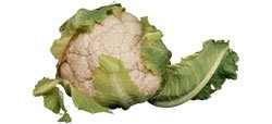 Cauliflower